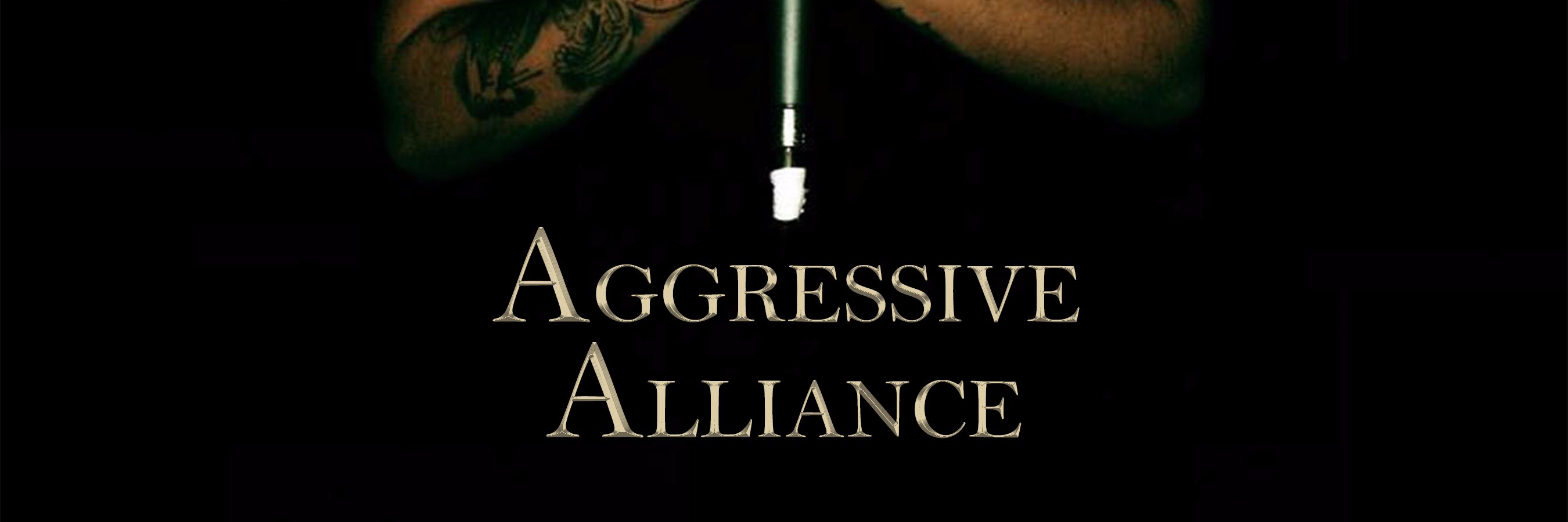 AggressAlliance's profile banner image