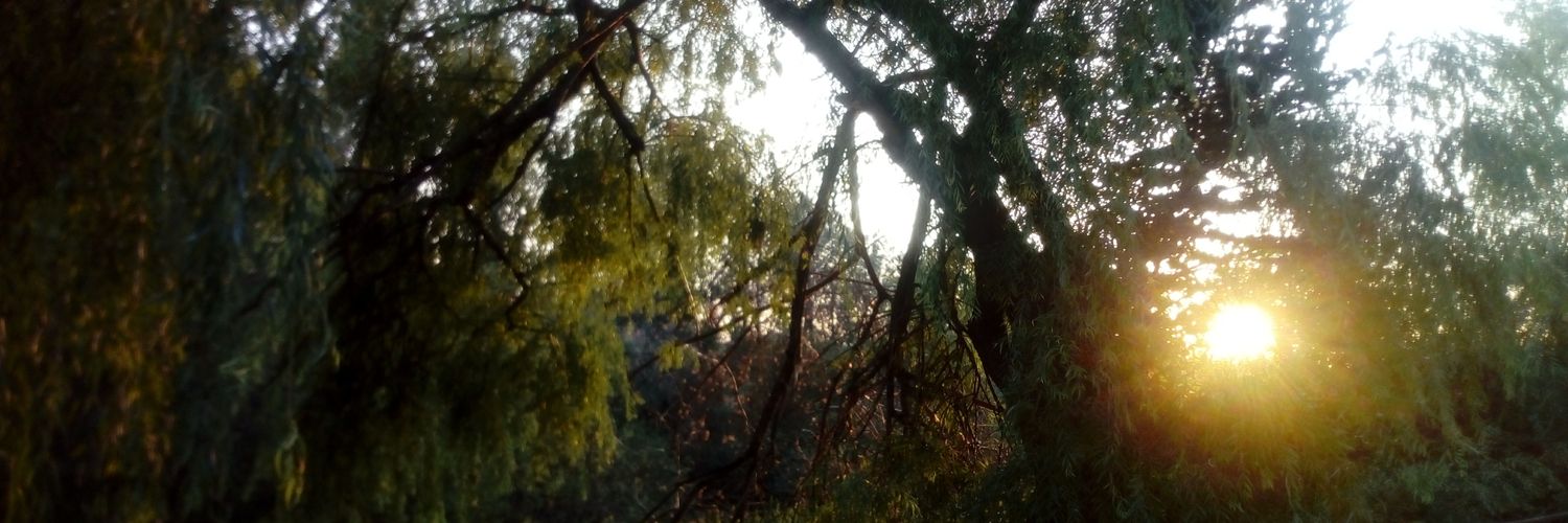 Crisferita's profile banner image
