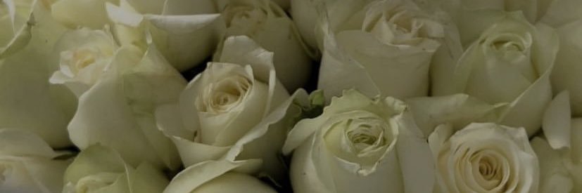 Yho_hehake's profile banner image