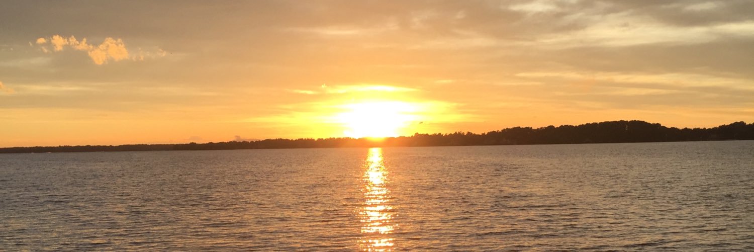juliefoo28's profile banner image