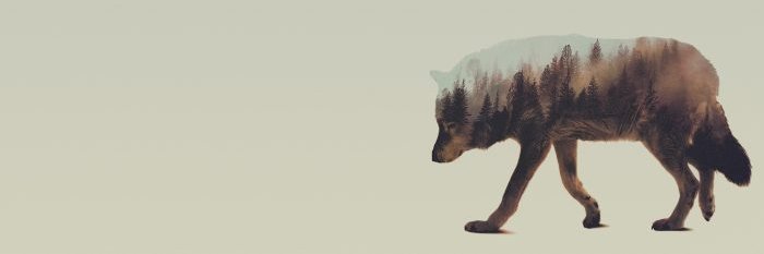 omrahulyiit's profile banner image