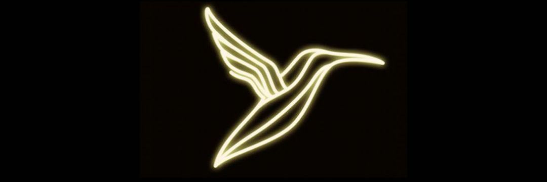 TimRocc's profile banner image