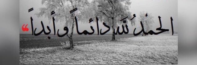 mem banner