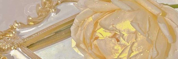 Espc17 Profile Banner