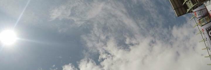 layalac's profile banner image