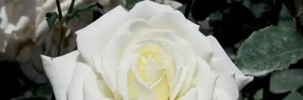 patrickcosta15's profile banner image