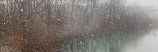 sajyasingh Profile Banner