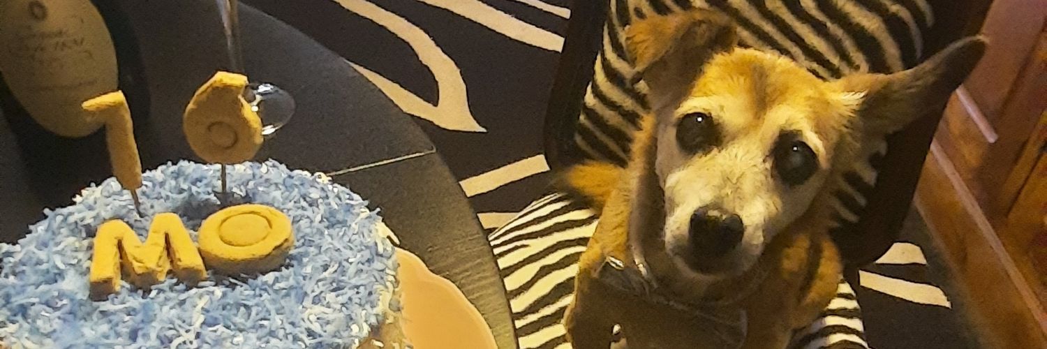 glamMo13's profile banner image
