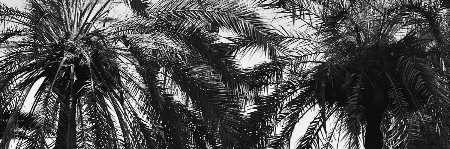 ehitsusi's profile banner image