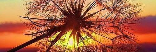 cristanera's profile banner image
