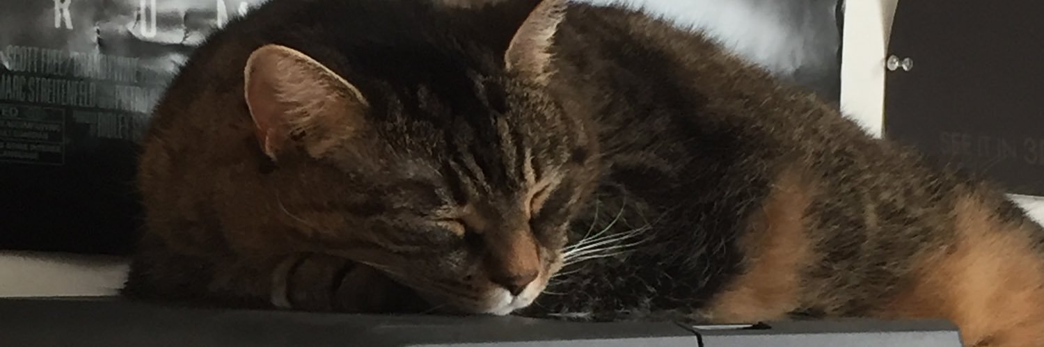 MnMDES's profile banner image