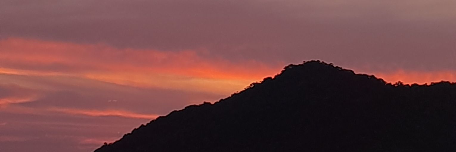 beatijolo's profile banner image