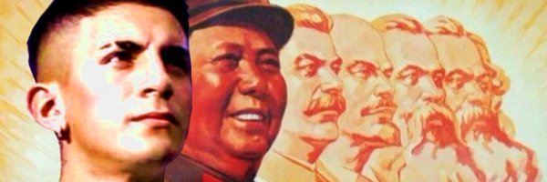 flpdpy Profile Banner