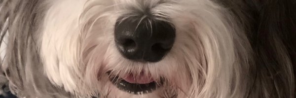 WalterAppling Profile Banner