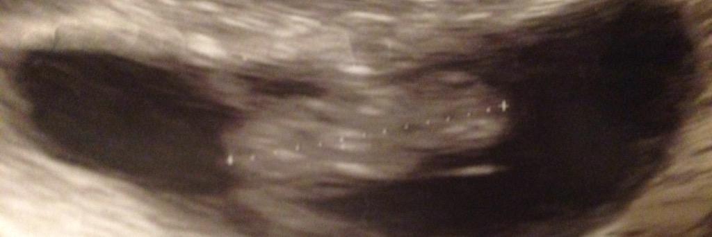 EamesBaby's profile banner image
