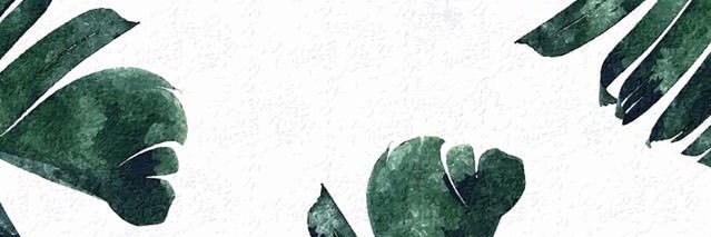 KKATTAKKATT's profile banner image