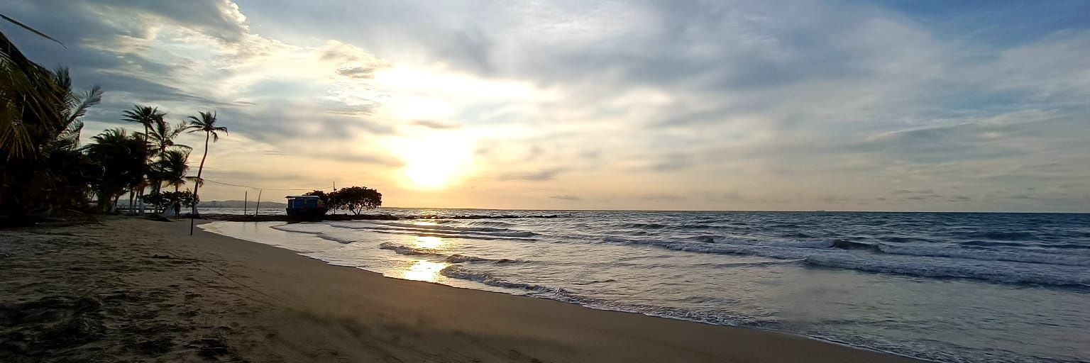 ANDREACUADROS1's profile banner image