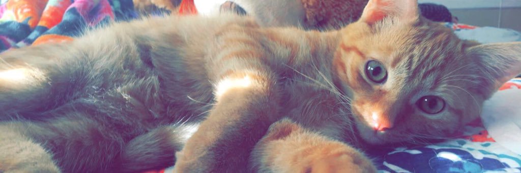 heyitssayd's profile banner image