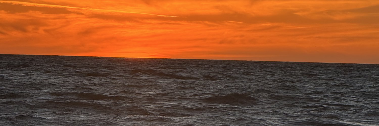 dl098l's profile banner image