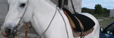 Meeli3's profile banner image
