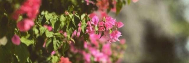a_m88_99's profile banner image