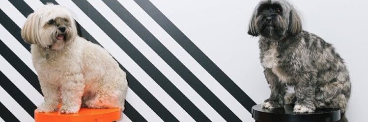cateaugustin's profile banner image