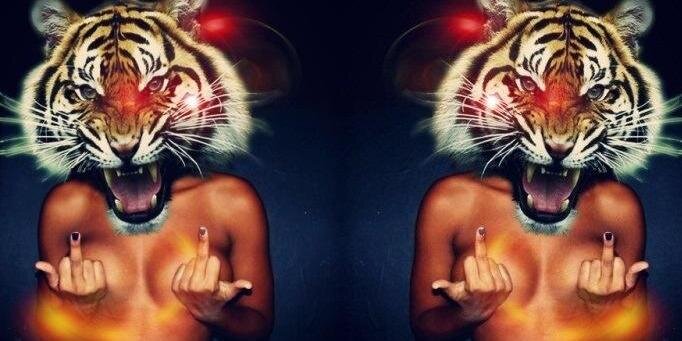 Bitiitezz's profile banner image