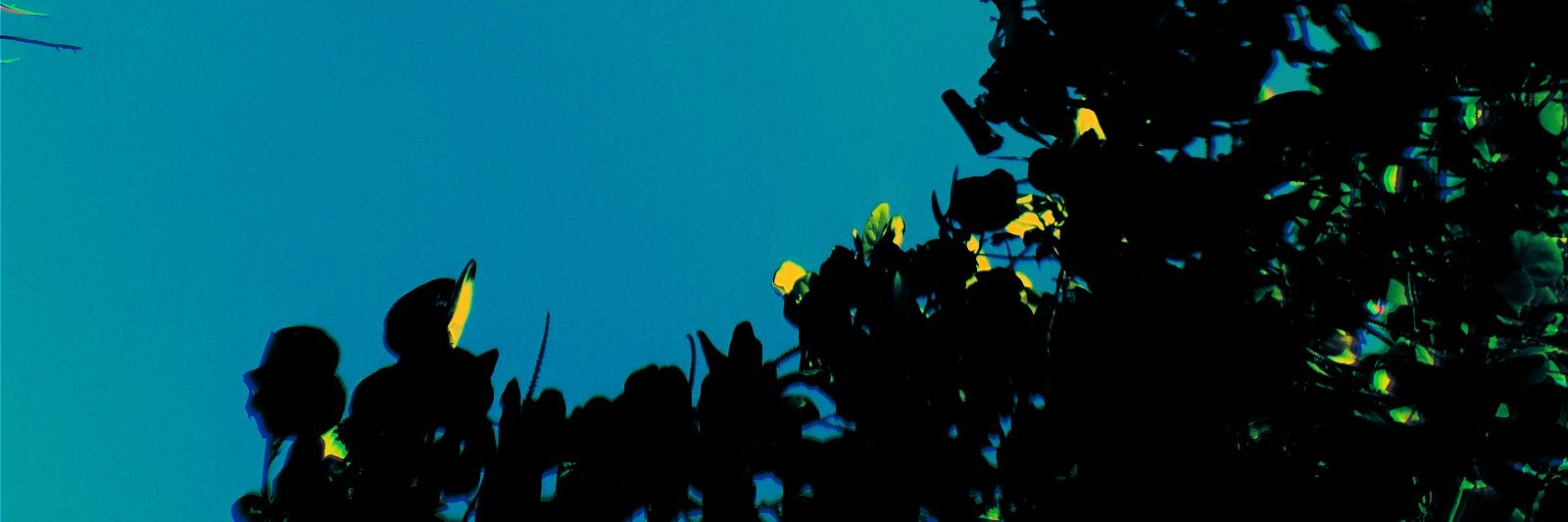 OGLxc's profile banner image