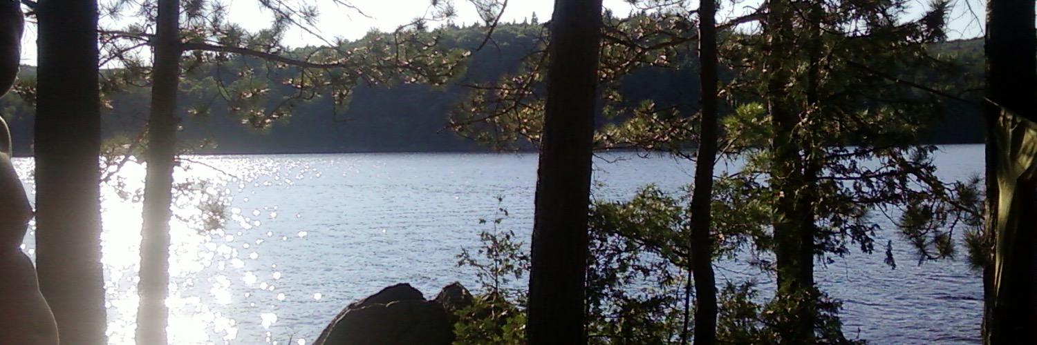 vicerdmann93's profile banner image