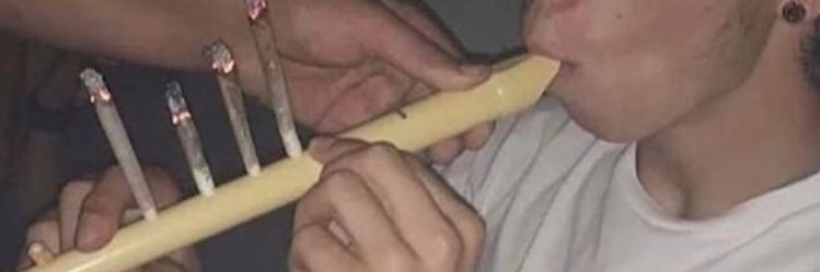 avocoda's profile banner image