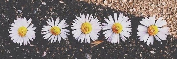 KaydeeWirth's profile banner image