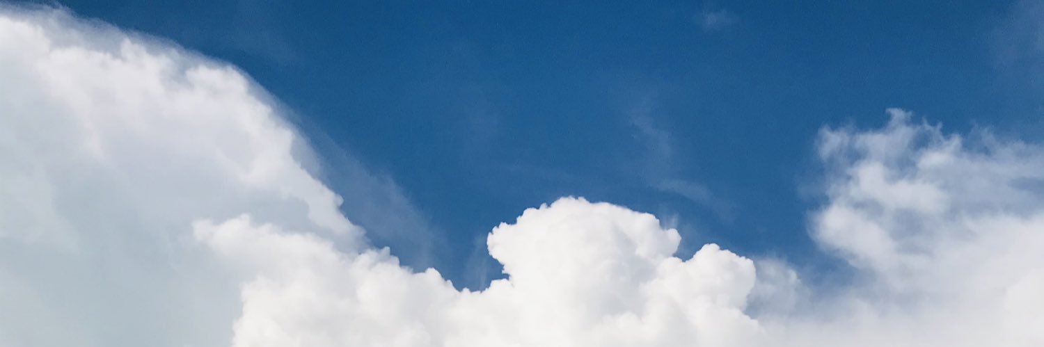 Z™ banner
