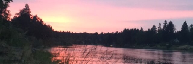 elisydneymann's profile banner image