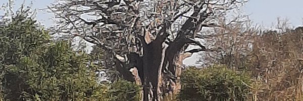 hugopien Profile Banner