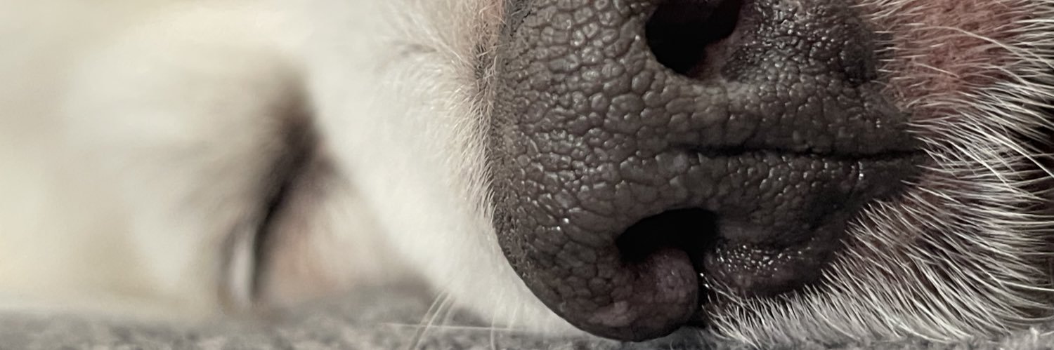 tabeaa1311's profile banner image
