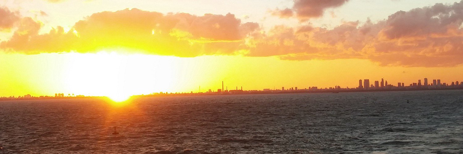 alicewalis's profile banner image