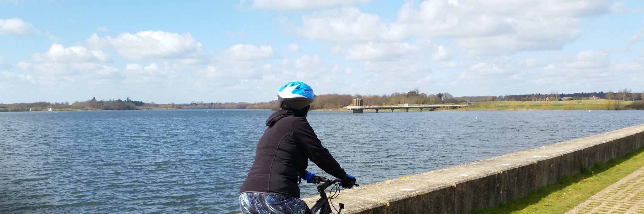 Tweetie Pye (Knight of the Ream - by the copier) banner