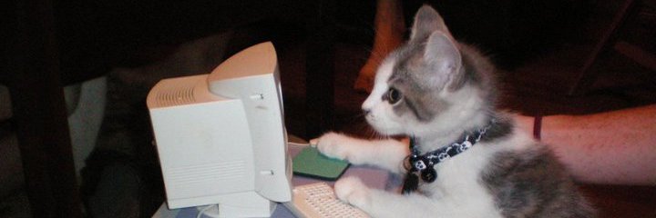 Addison Peacock banner