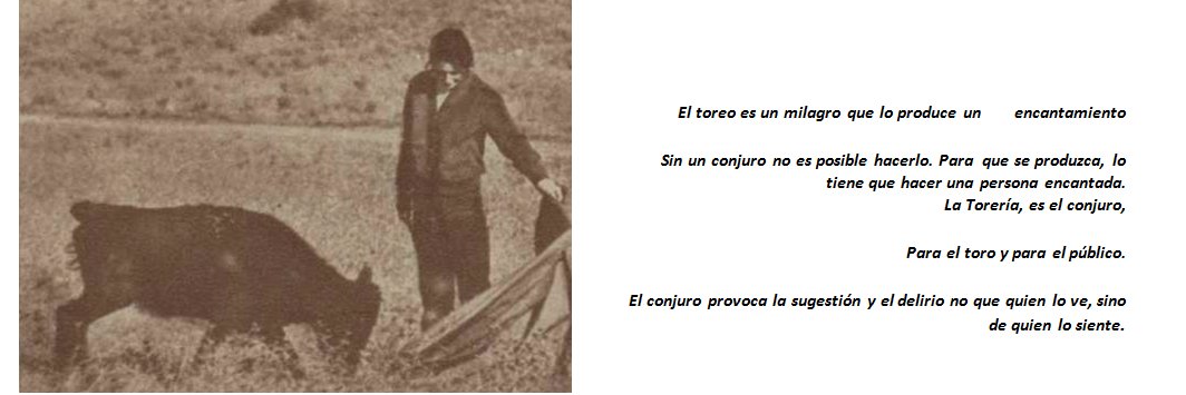 Francisco Gallardo banner