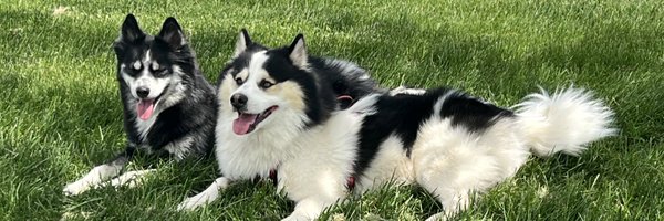 EKAPPAPAPPA Profile Banner