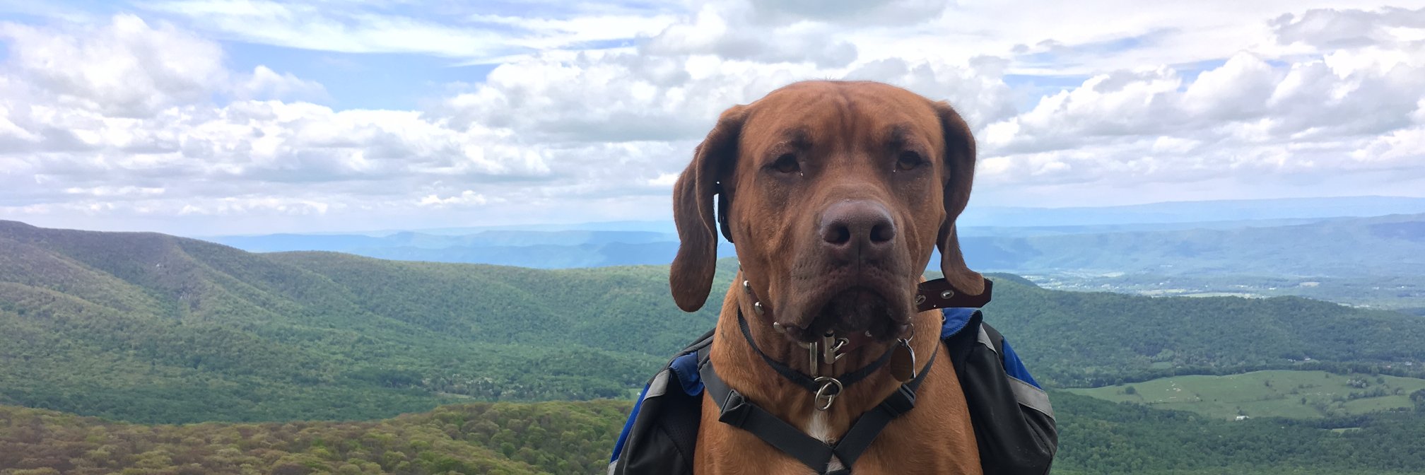 AaronShaps's profile banner image