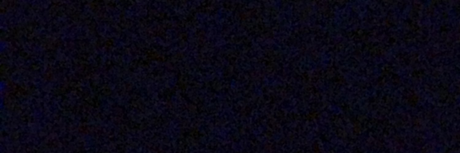 Prince_Boner's profile banner image