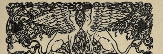 zeynepdirim's profile banner image
