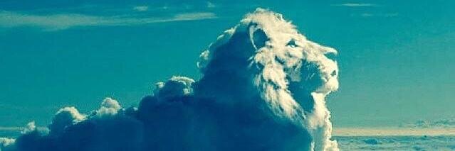 thaboramathe's profile banner image