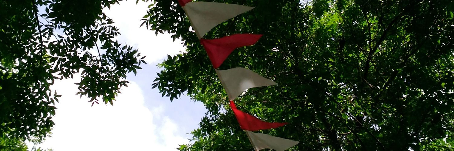 SolVignudo's profile banner image