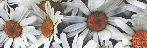 ___sportingly's profile banner image