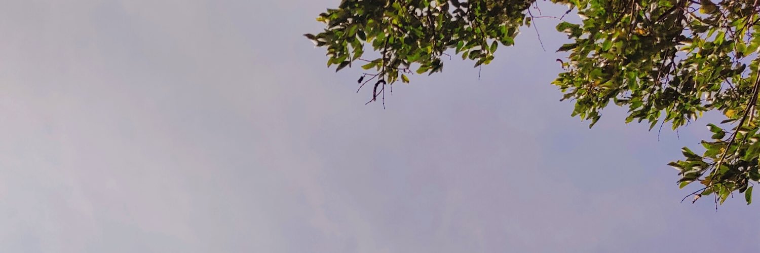 fishie_solis's profile banner image