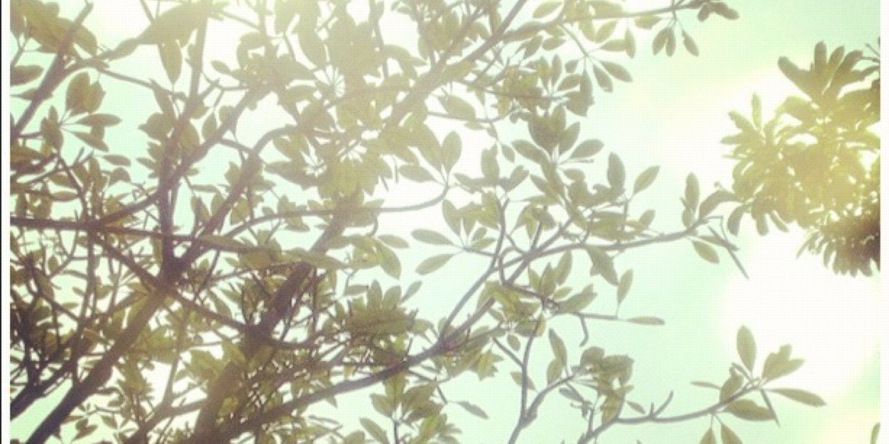 astariardito's profile banner image