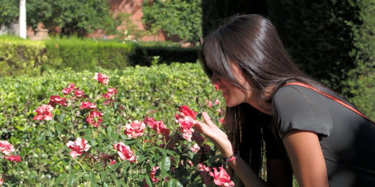 MercedesMontes1's profile banner image