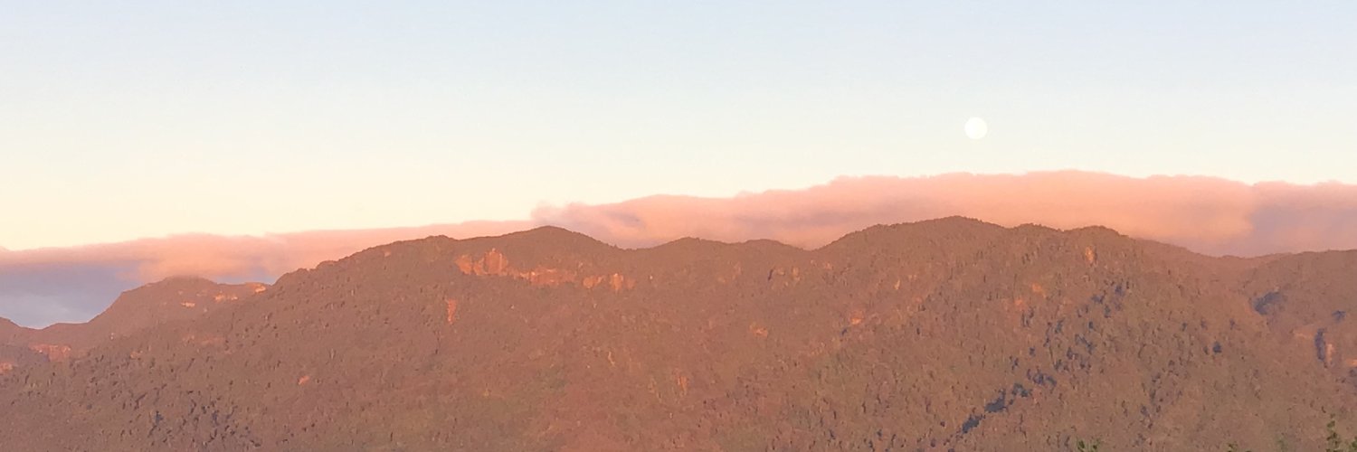 AshKoning's profile banner image